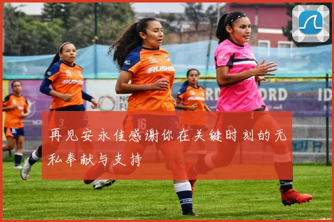再见安永佳感谢你在关键时刻的无私奉献与支持