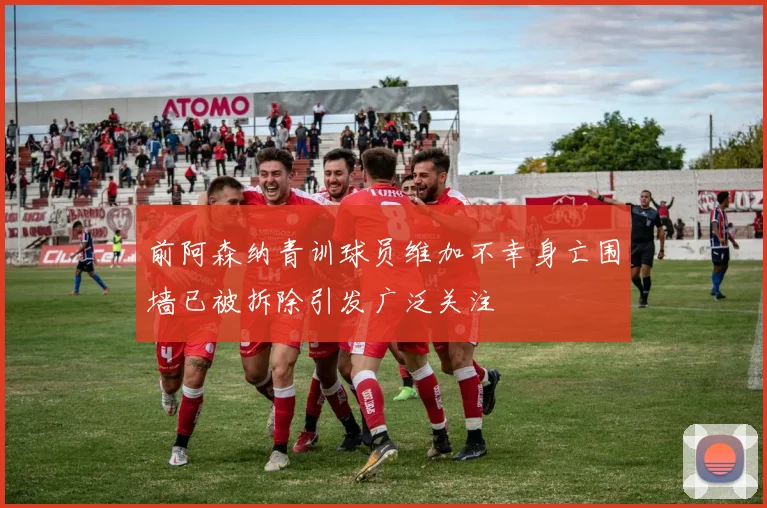 前阿森纳青训球员维加不幸身亡围墙已被拆除引发广泛关注