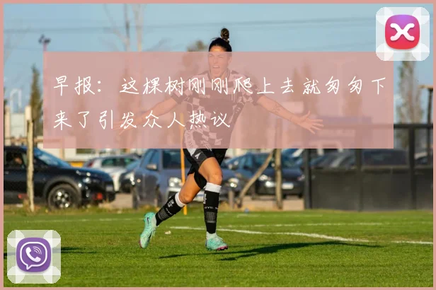 早报：这棵树刚刚爬上去就匆匆下来了引发众人热议