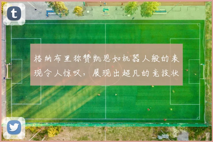 格纳布里称赞凯恩如机器人般的表现令人惊叹，展现出超凡的竞技状态