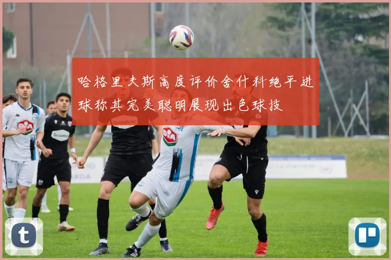 哈格里夫斯高度评价舍什科绝平进球称其完美聪明展现出色球技